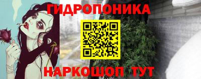 стафф Канаш
