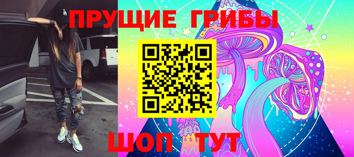 Кудымкар  Псилоцибиновые грибы GOLDEN TEACHER  Вход с VPN 